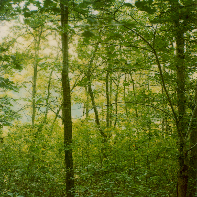 RDeluna_49_R